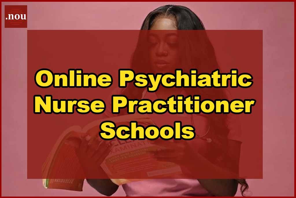 Online Psychiatric Nurse Practitioner Schools