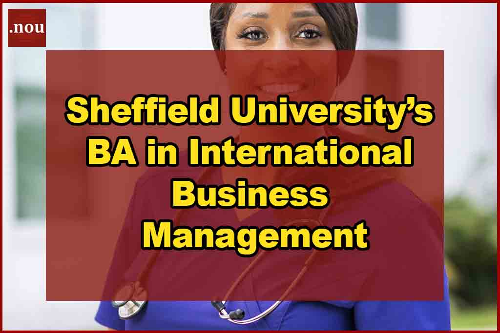 Sheffield University’s BA in International Business Management